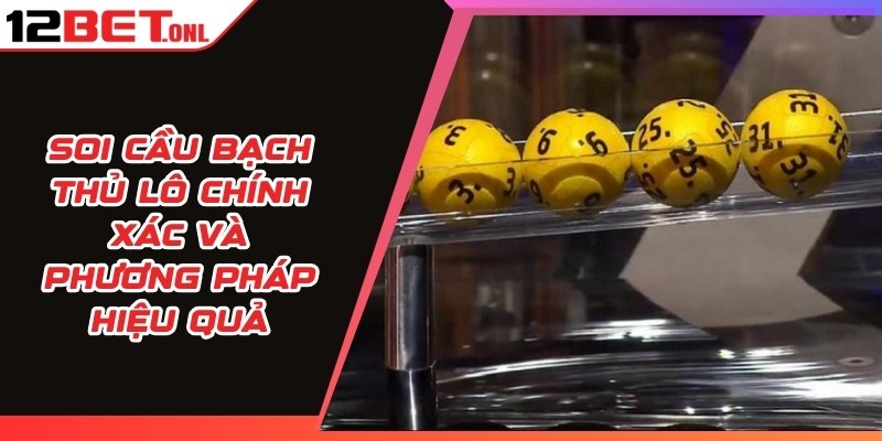 Soi Cầu Bạch Thủ Lô